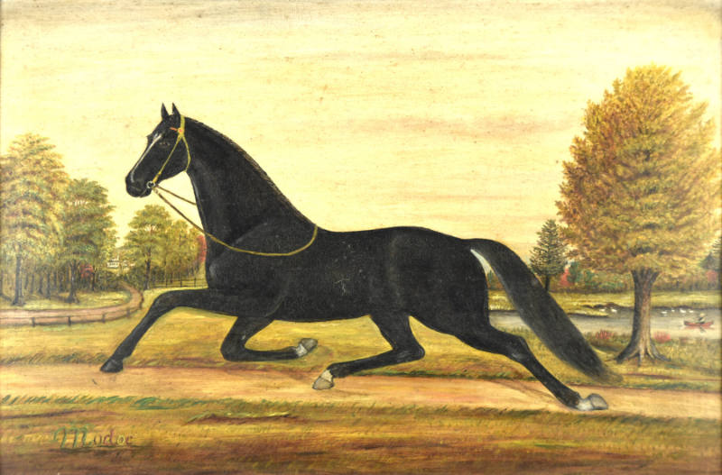 The Horse Modoc