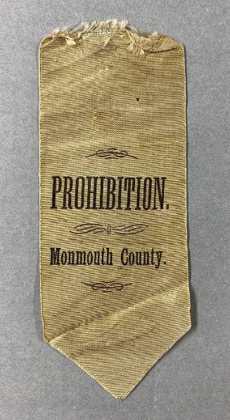 Prohibition Badge