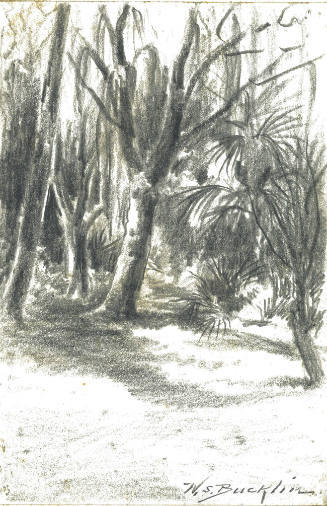 Florida Forest Scene with Palms