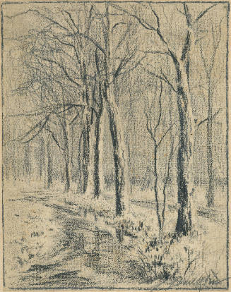 Bare Trees in Winter