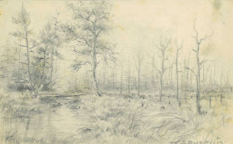 Woods and Stream in Late Fall