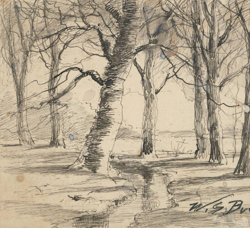 Stream and Trees in Winter