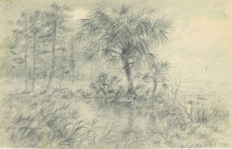 Florida Landscape with Palm Trees