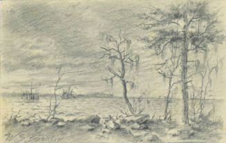 A Rocky Shore with Mossy Trees and Lake