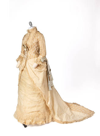 Woman's Reception Gown