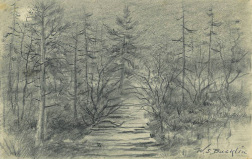 A Wooded Path