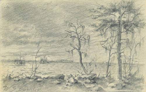 A Rocky Shore with Mossy Trees and Lake